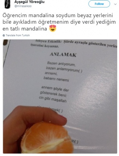 Öğrenciler ve Öğretmenleri Arasındaki Müthiş Diyalogları Anlatan 12 Komik Tweet