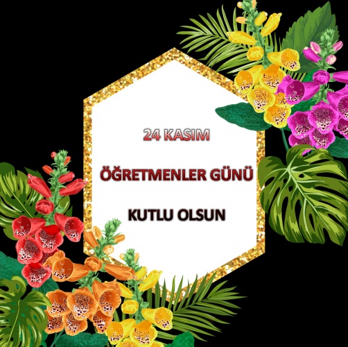 Öğretmenler Günü Resimli Kutlama Mesajları