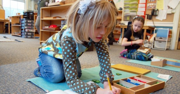 Yaşa Göre Montessori Eğitimi Nasıl Olur?