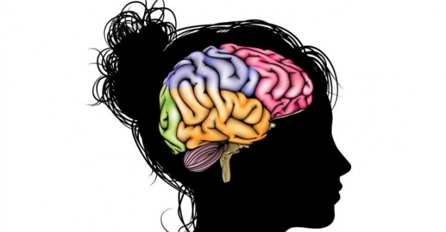 Ergen Beyninin İnanılmaz Öğrenme Potansiyelini Kullanmak