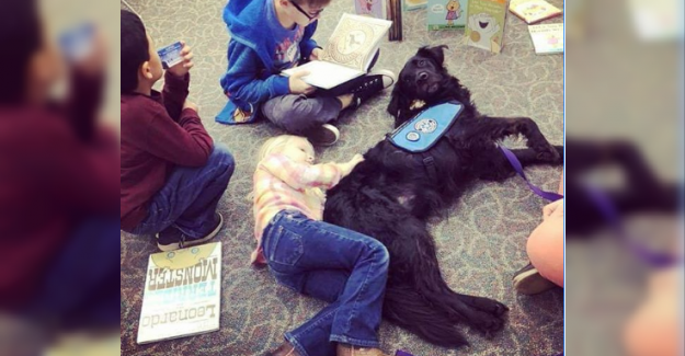 Çocuklar, Okuma Yazma Becerilerini ve Güvenlerini Artırmak için Köpeklerine Yüksek Sesle Kitap Okuyor