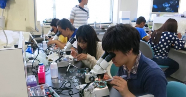 Zorlu Ama Başarılı Bir Eğitim Sistemi: Japonya Eğitim Sistemi