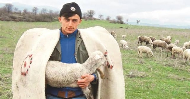 Köyünde Çobanlık Yapan Emre Polat Üniversite Sınavında Birinci Oldu