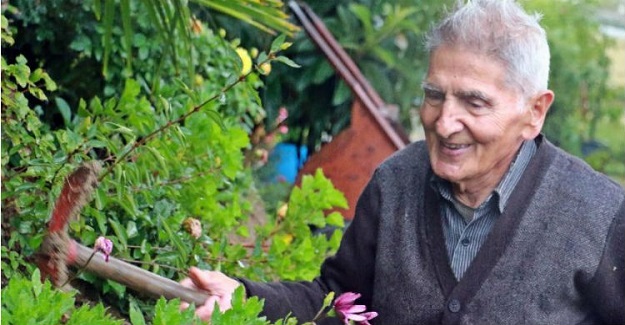 Bulgaristan Göçmeni 83 Yaşındaki Emekli Öğretmen Tek Başına 360 Bin Fidan Dikerek Orman Yaptı
