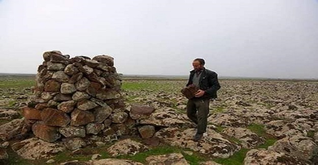 Köylülerin ‘Değişik biri’ dediği Diyarbakırlı çoban, her yere taştan kuleler yapıyor