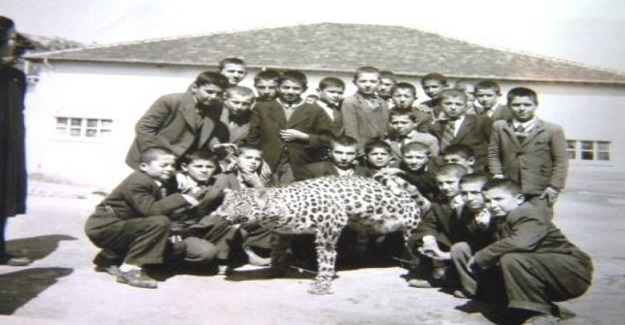 Buldan'ın Kurudere köyünde ilkokul öğrencileri Ölü leopar.ile Denizli 1954
