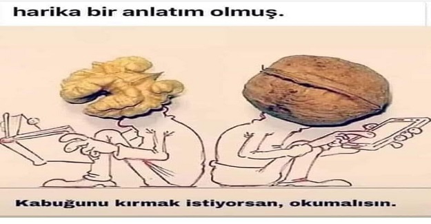 Bir gün bir öğretmen tahtaya şöyle yazdı