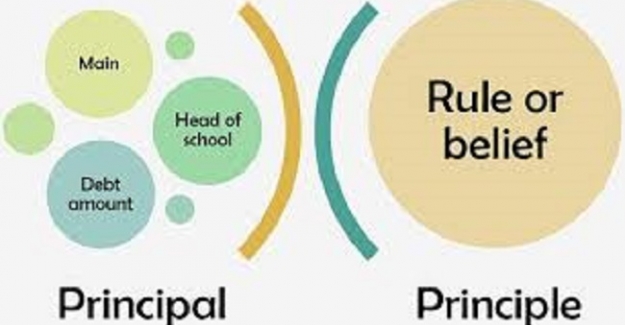 Principle ve Principal arasındaki fark nedir?