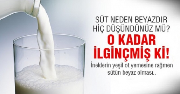 Süt Neden Beyazdır?