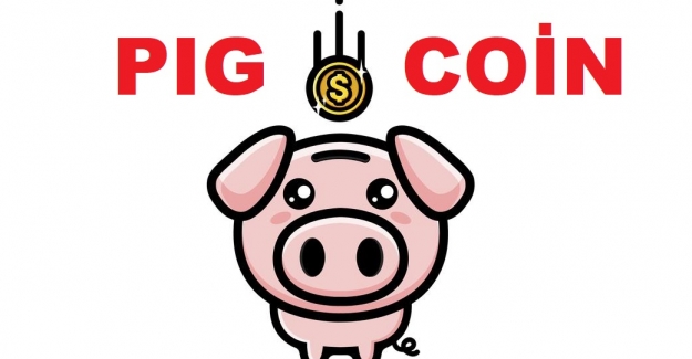 Pig Finance (PIG) coin nedir, Pig coin geleceği