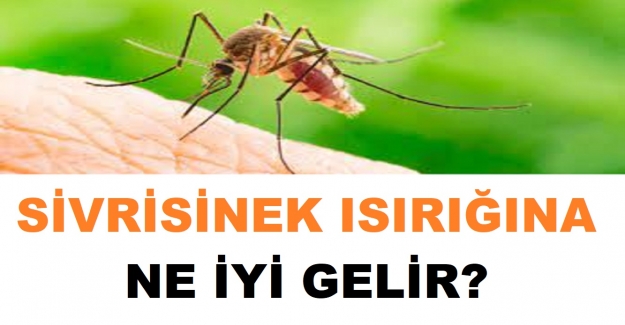 Sivrisinek Isırığı ve Kaşıntısına Ne İyi Gelir?