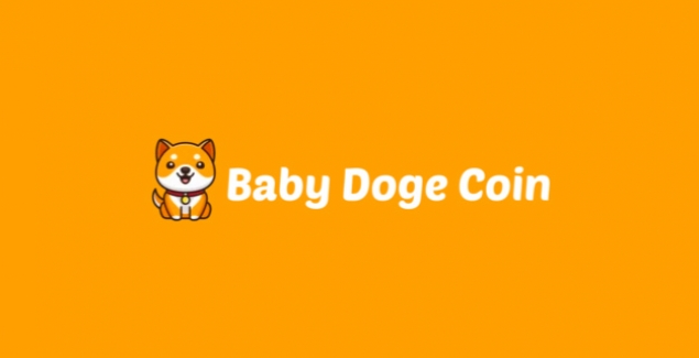 Baby Doge Coin (BABYDOGE) Nedir? Baby Doge Coin (BABYDOGE) Geleceği