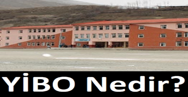 YİBO Nedir?