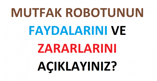 Mutfak Robotunun Faydalarını ve Zararlarını Açıklayınız?