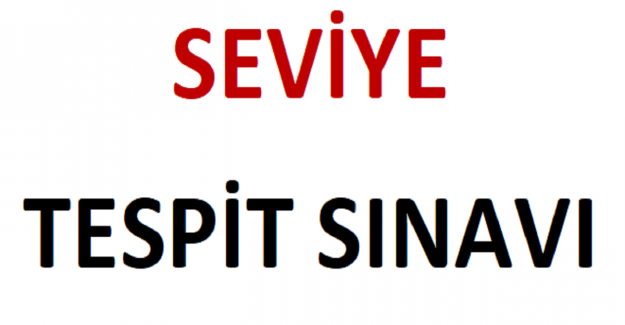 Seviye Tespit Sınavı