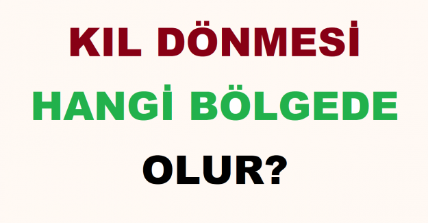 Kıl Dönmesi Hangi Bölgede Olur?