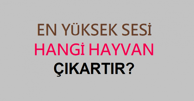 En Yüksek Sesi Çıkaran Hayvan Hangisidir?