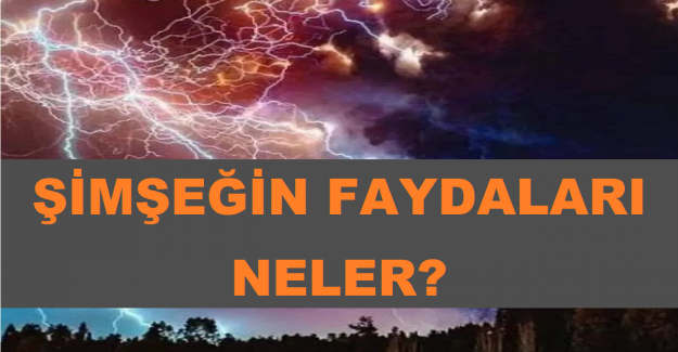 Şimşeğin Faydaları Neler?