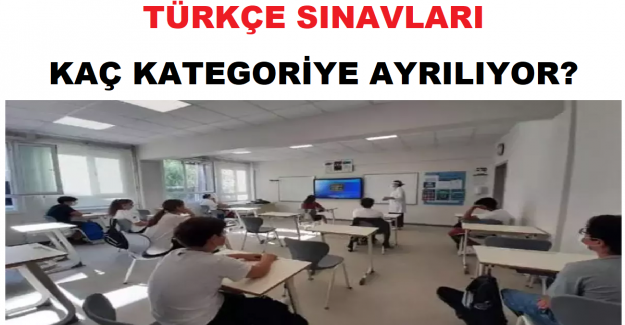 Türkçe Sınavları Kaç Kategoriye Ayrılıyor?