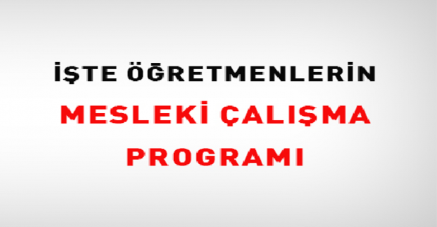 11-15 Kasım 2024 Mesleki Çalışmalar