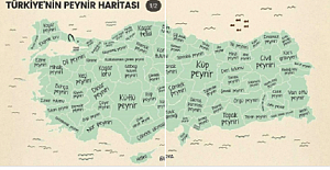 Türkiye'nin peynir haritası. Hangi Şehrin Peyniri Meşhurdur?