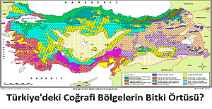 Türkiye'deki Coğrafi Bölgelerin Bitki Örtüsü?