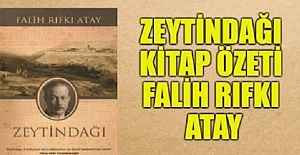 Zeytindağı Kitap Özeti Falih Rıfkı Atay