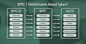 Bitcoin Dominans Nasıl İşler? Bitcoin Dominance Ne Demektir