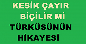 KESİK ÇAYIR BİÇİLİR Mİ TÜRKÜSÜNÜN HİKAYESİ