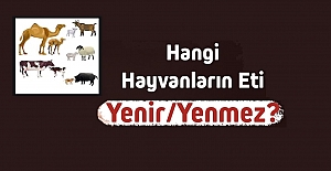 ETİ YENEN VE ETİ YENMESİ HARAM OLAN HAYVANLAR HANGİLERİDİR?