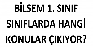 BİLSEM 1. Sınıflarda Hangi Konular Çıkıyor?