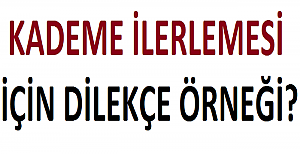 Kademe İlerlemesi İçin Dilekçe Örneği