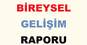 Bireysel Gelişim Raporu