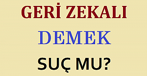 Geri Zekalı Demek Suç mu?