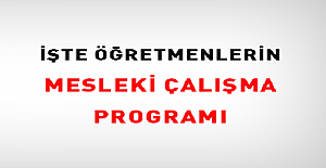 11-15 Kasım 2024 Mesleki Çalışmalar